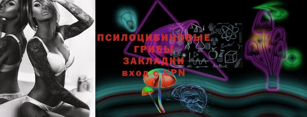 амф Володарск