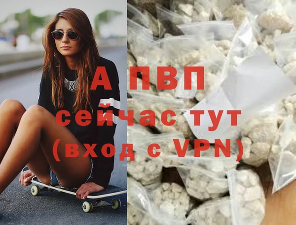амф Володарск