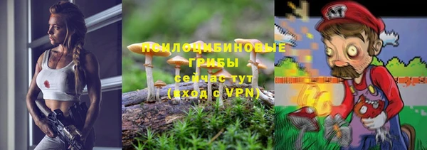 амф Володарск