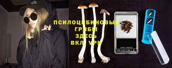 амф Володарск